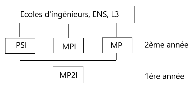 Schéma du parcours d'étude de la filière MP2I